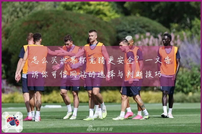 怎么买世界杯竞猜更安全？一文告诉你可信网站的选择与判断技巧